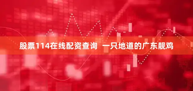 股票114在线配资查询  一只地道的广东靓鸡