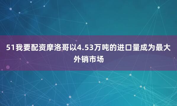 51我要配资摩洛哥以4.53万吨的进口量成为最大外销市场