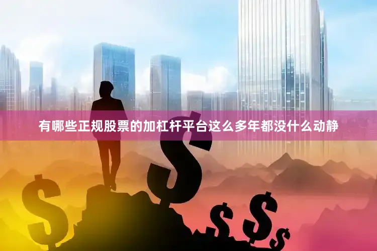 有哪些正规股票的加杠杆平台这么多年都没什么动静