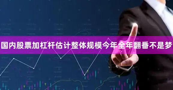 国内股票加杠杆估计整体规模今年全年翻番不是梦